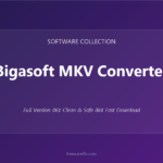 Bigasoft MKV Converter featured.png
